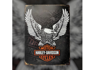 Harley-Davidson EAGLE 40x30 plechová cedule