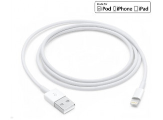 USB kabel iPhone 1m Apple Lightning